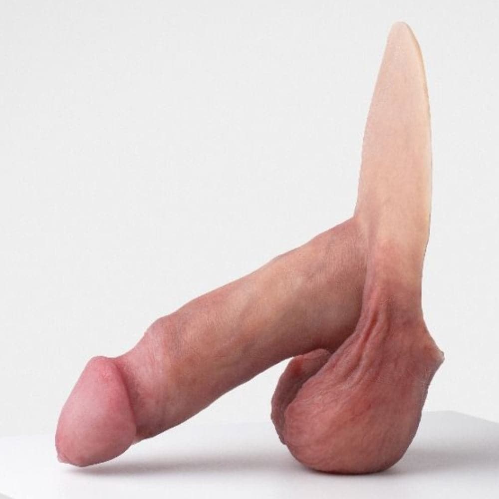 Erect 04 - RodeoH