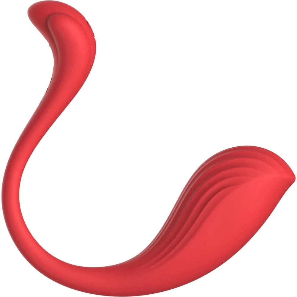 Phoenix Neo Interactive App Vibrator by Svakom - RodeoH